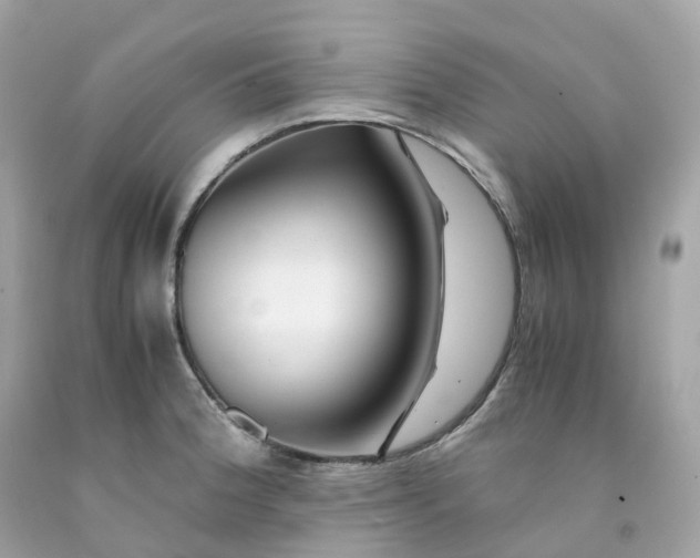 X0000091491188200709061854