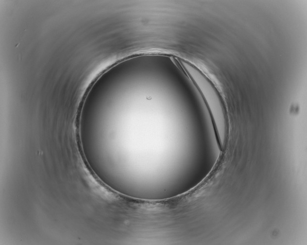 X0000091491189200709061854