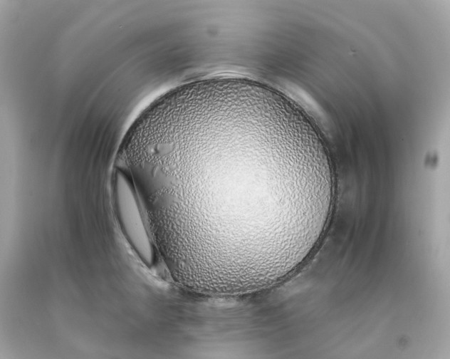 X0000091491190200709061854