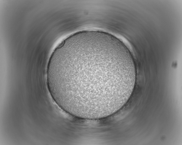 X0000091491191200709061854