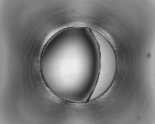 X0000091491192200709061854