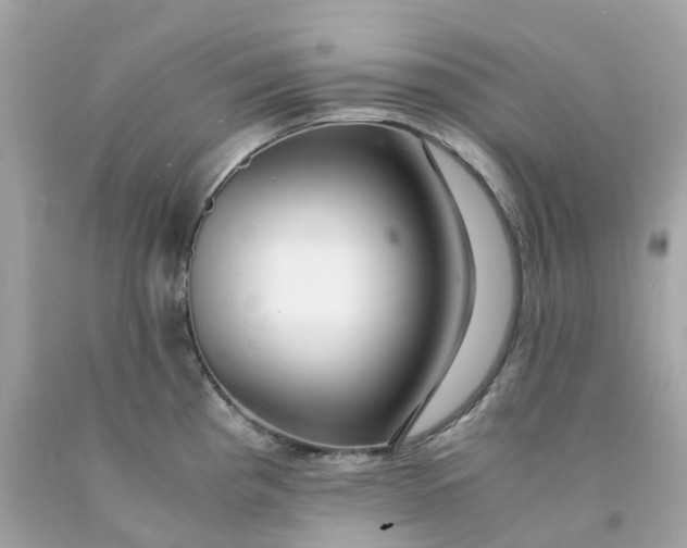 X0000091491193200709061854