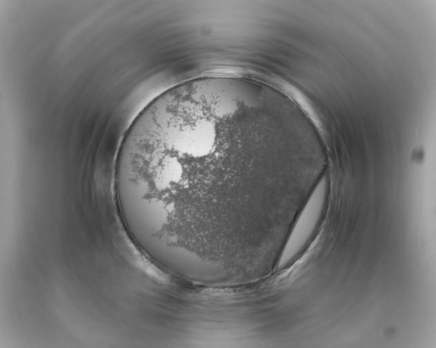 X0000091491194200709061854