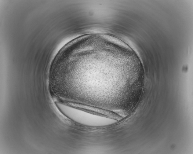 X0000091491195200709061854