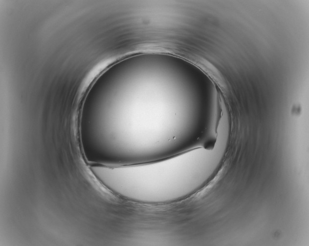 X0000091491196200709061854