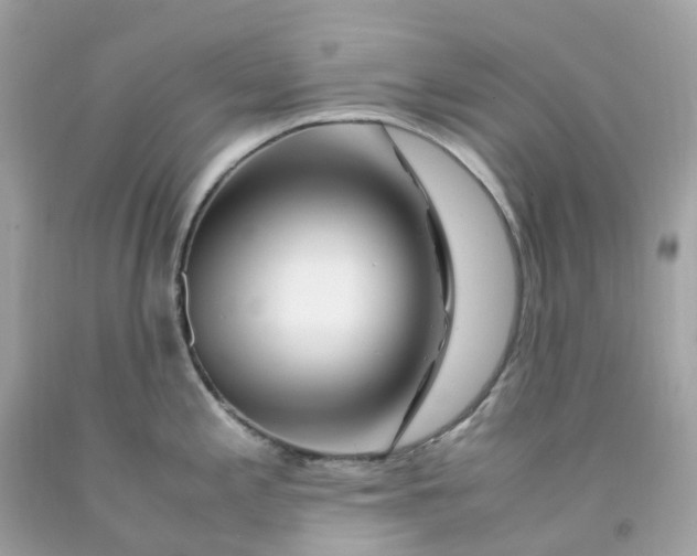 X0000091491197200709061854