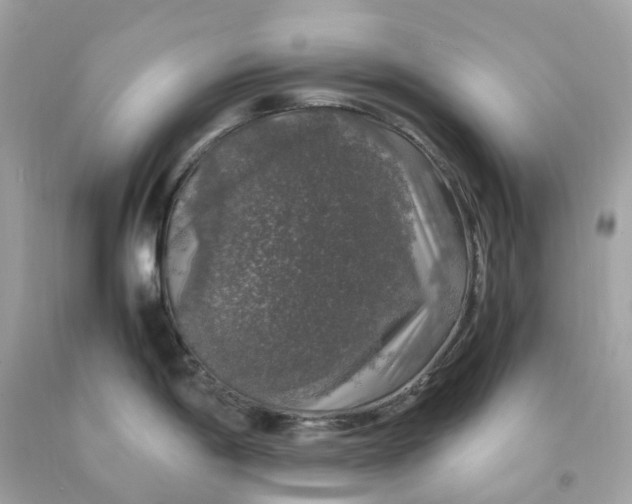 X0000091491198200709061854