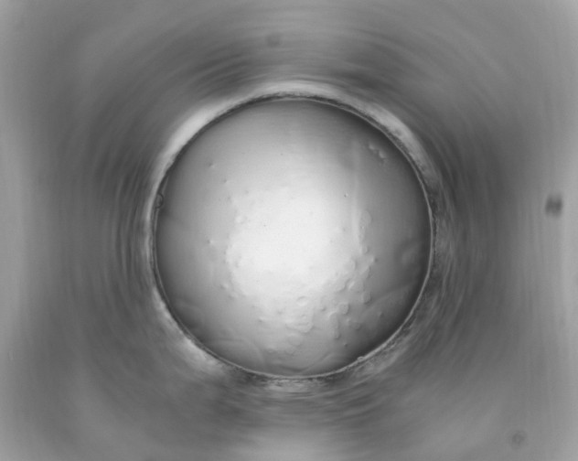 X0000091491199200709061854