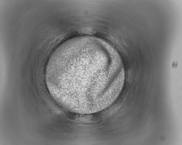 X0000091491201200709061853