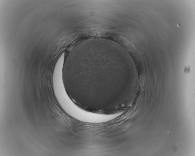 X0000091491202200709061853