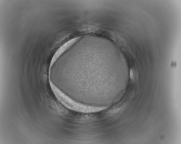 X0000091491203200709061853