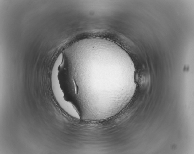 X0000091491204200709061853