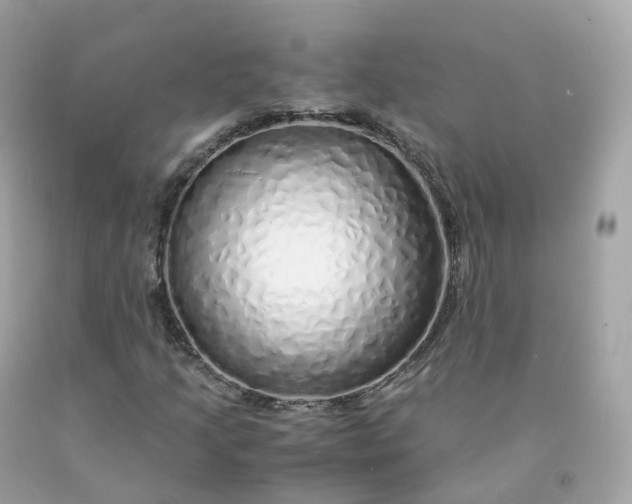 X0000091491205200709061853