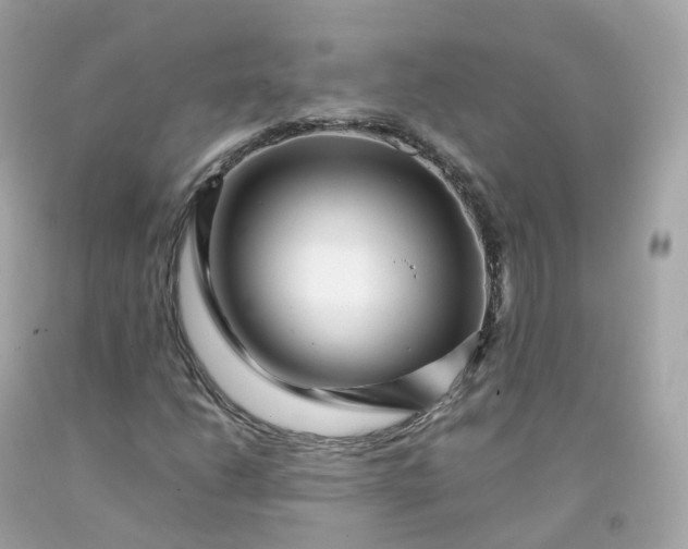 X0000091491206200709061853