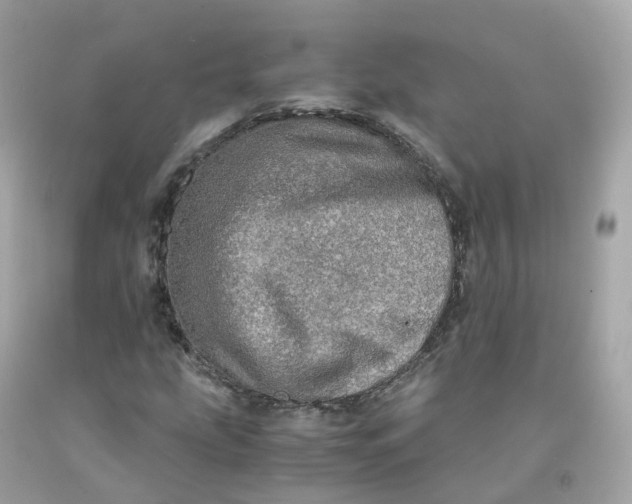 X0000091491207200709061853