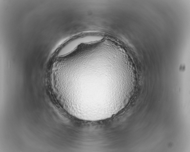 X0000091491208200709061853