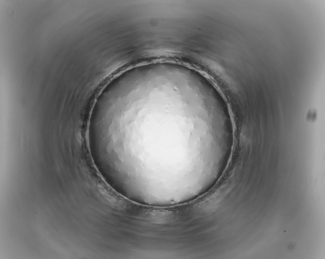 X0000091491209200709061853