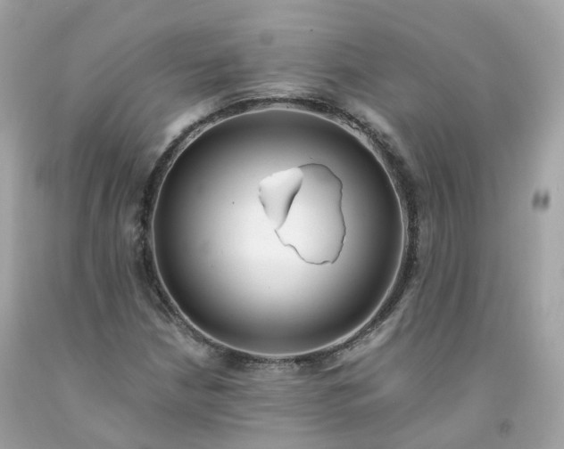 X0000091491210200709061853