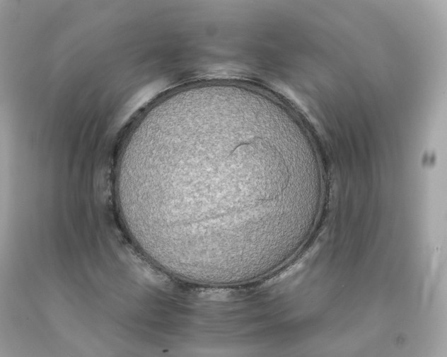 X0000091491211200709061853