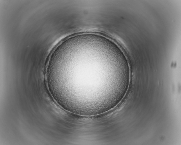 X0000091491212200709061853