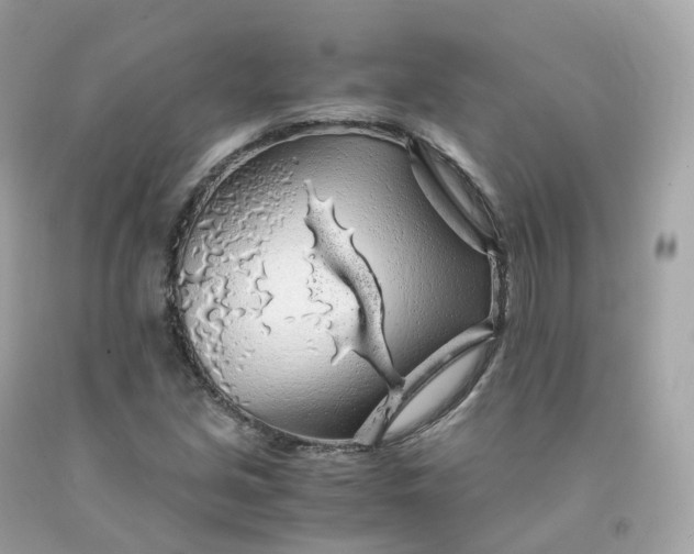 X0000091491213200709061853