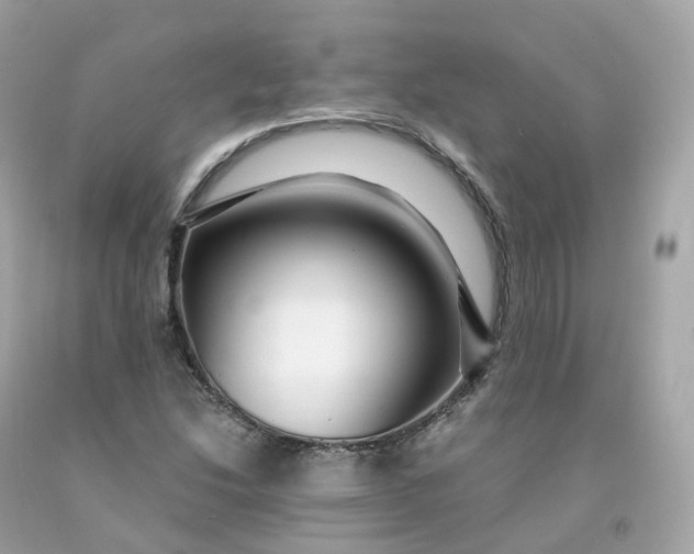 X0000091491214200709061853