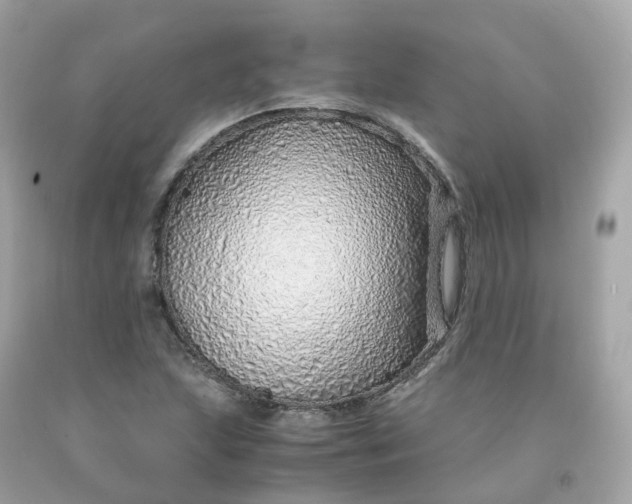 X0000091491215200709061853