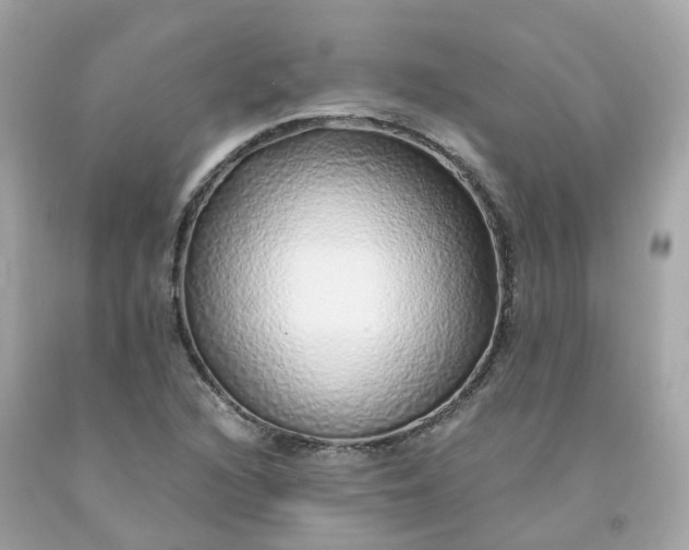 X0000091491216200709061853