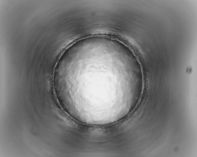 X0000091491217200709061853