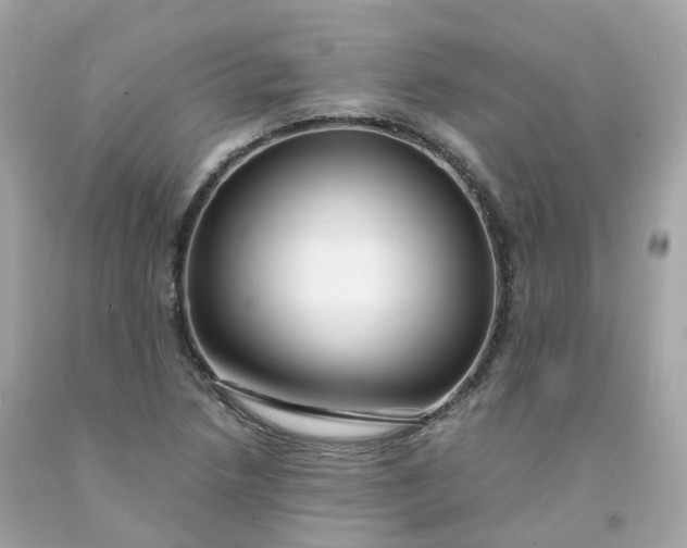 X0000091491218200709061853