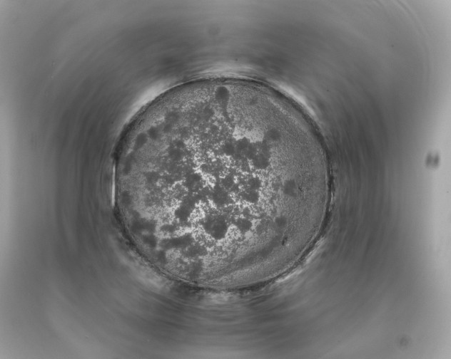 X0000091491219200709061853