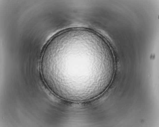 X0000091491220200709061853