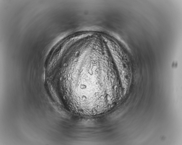 X0000091491221200709061853