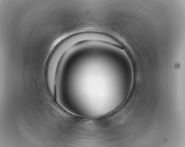 X0000091491222200709061853