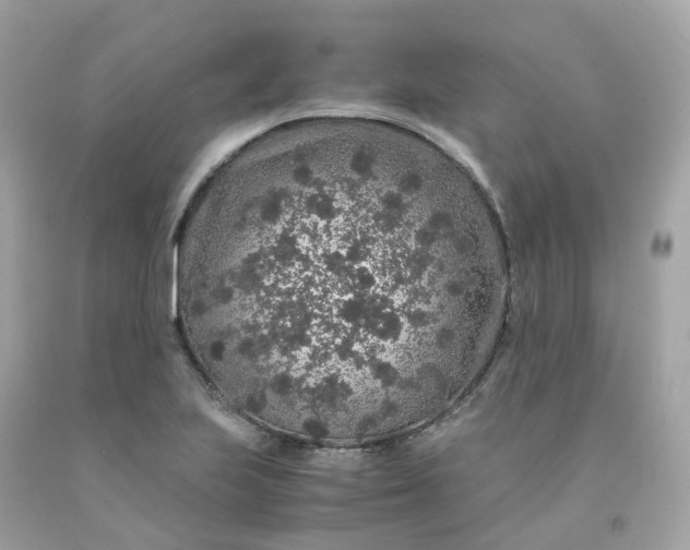 X0000091491223200709061853