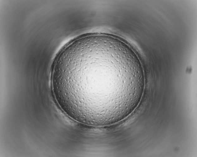 X0000091491224200709061853