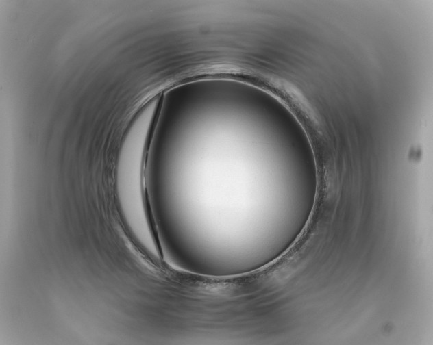 X0000091491225200709061853