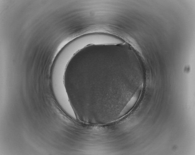 X0000091491226200709061853