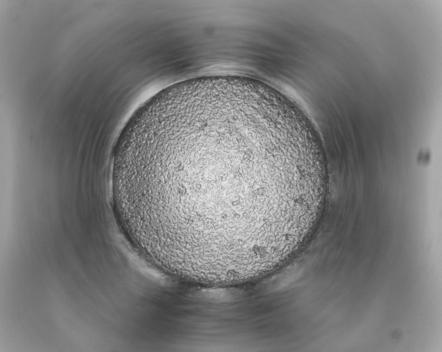 X0000091491227200709061853