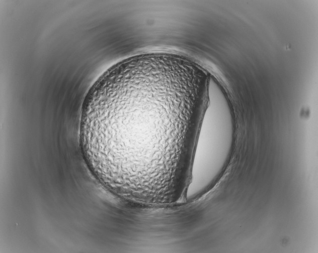 X0000091491228200709061854