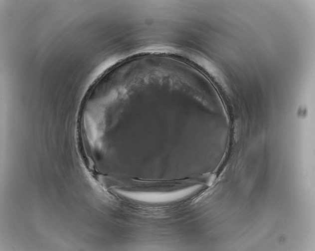 X0000091491229200709061854