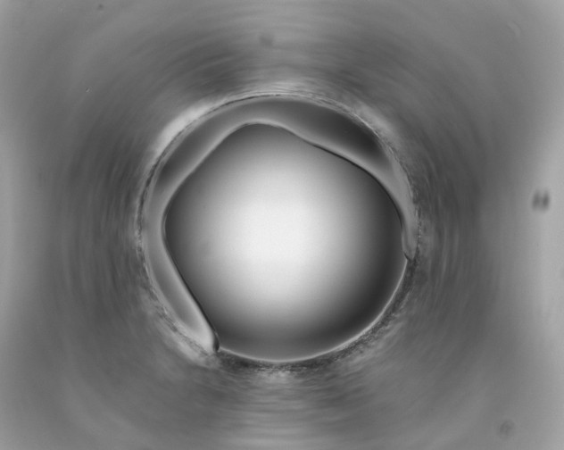 X0000091491230200709061854