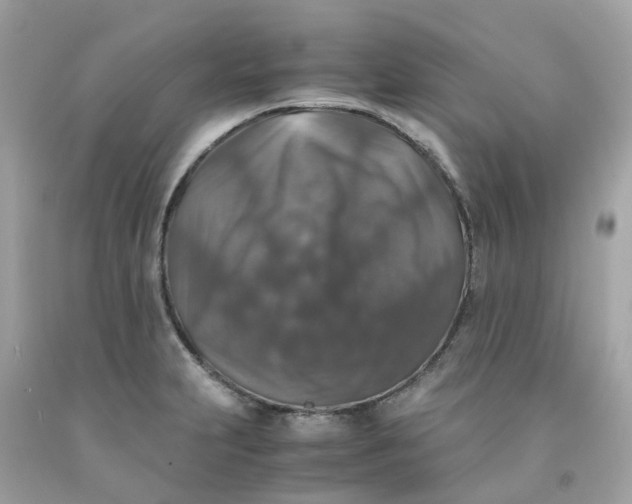 X0000091491231200709061854