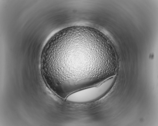 X0000091491232200709061854