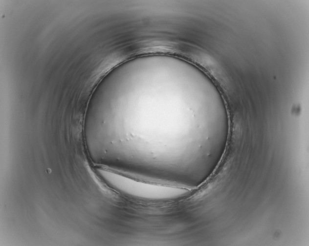 X0000091491233200709061854