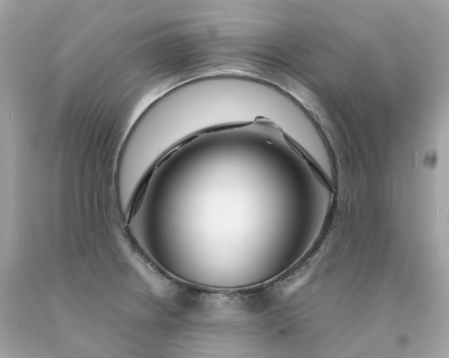 X0000091491234200709061854