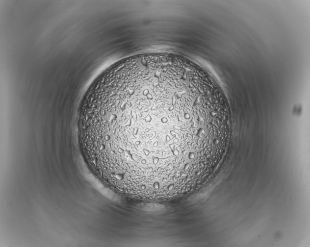 X0000091491235200709061854