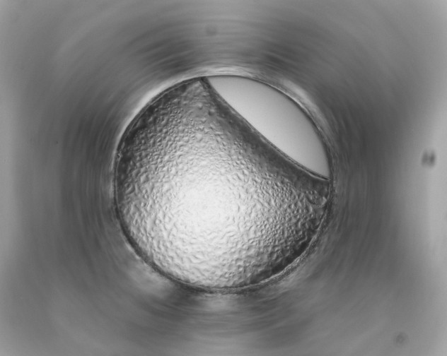 X0000091491236200709061854