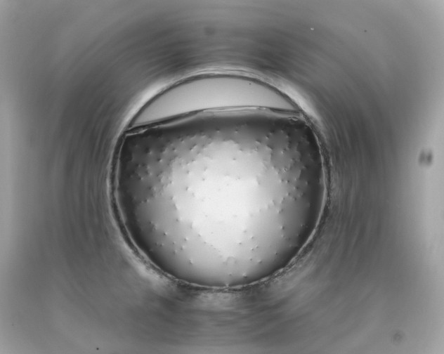 X0000091491237200709061854