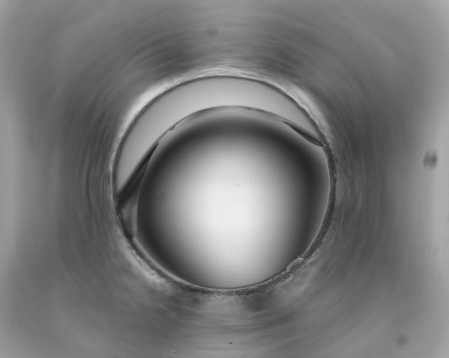 X0000091491238200709061854